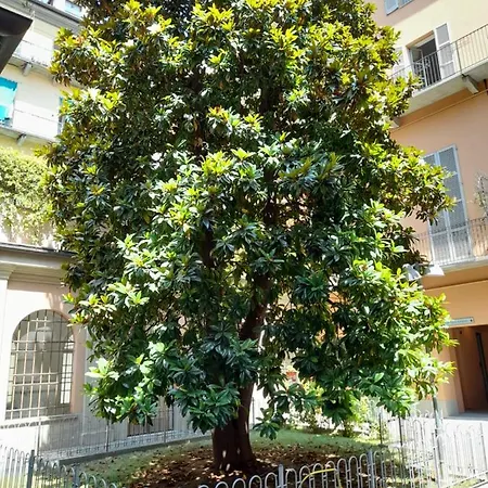 شقة Garibaldi Loft, A Piedi A Palazzo Reale
