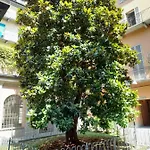 公寓 Garibaldi Loft, A Piedi A Palazzo Reale